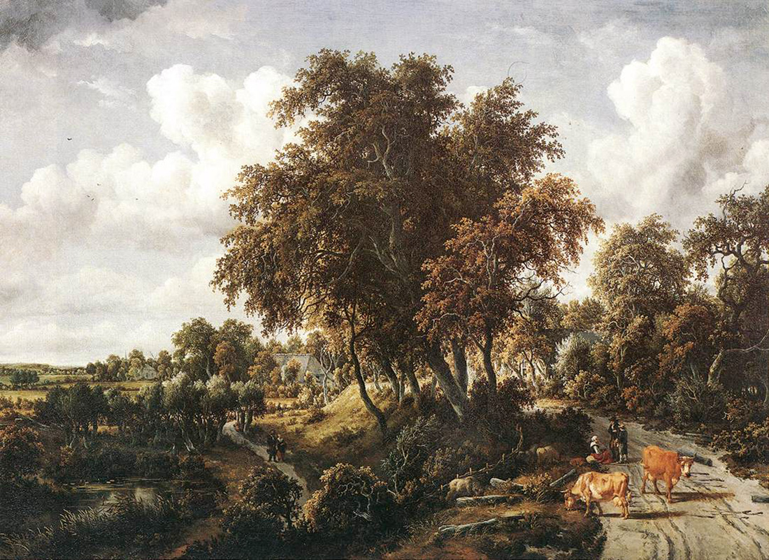 road on a dyke